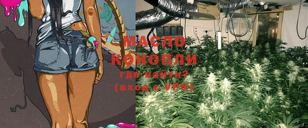 PSILOCYBIN Алзамай