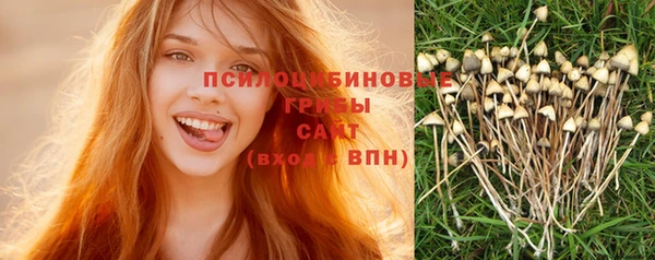 spice Алексин