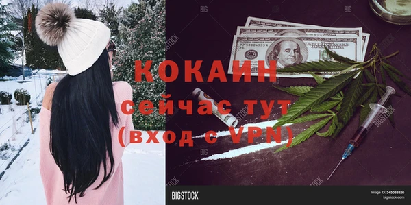 PSILOCYBIN Алзамай