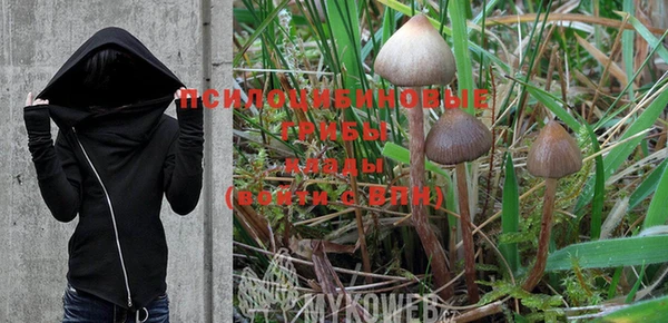 PSILOCYBIN Алзамай