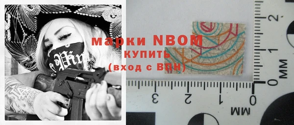 PSILOCYBIN Алзамай