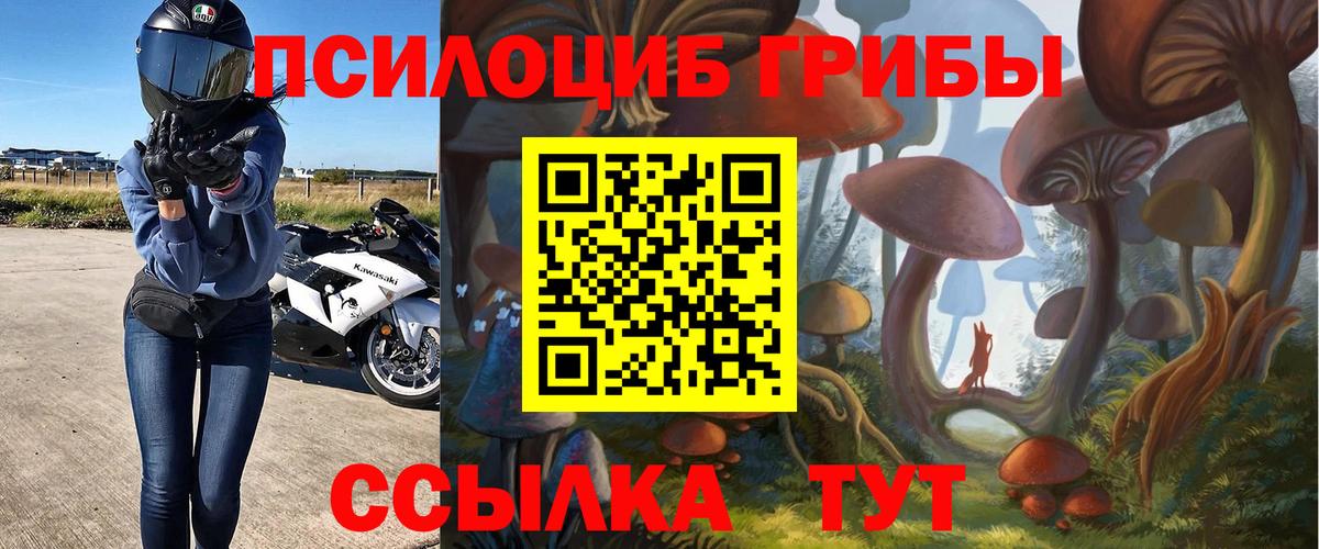 Галлюциногенные грибы Cubensis Темрюк